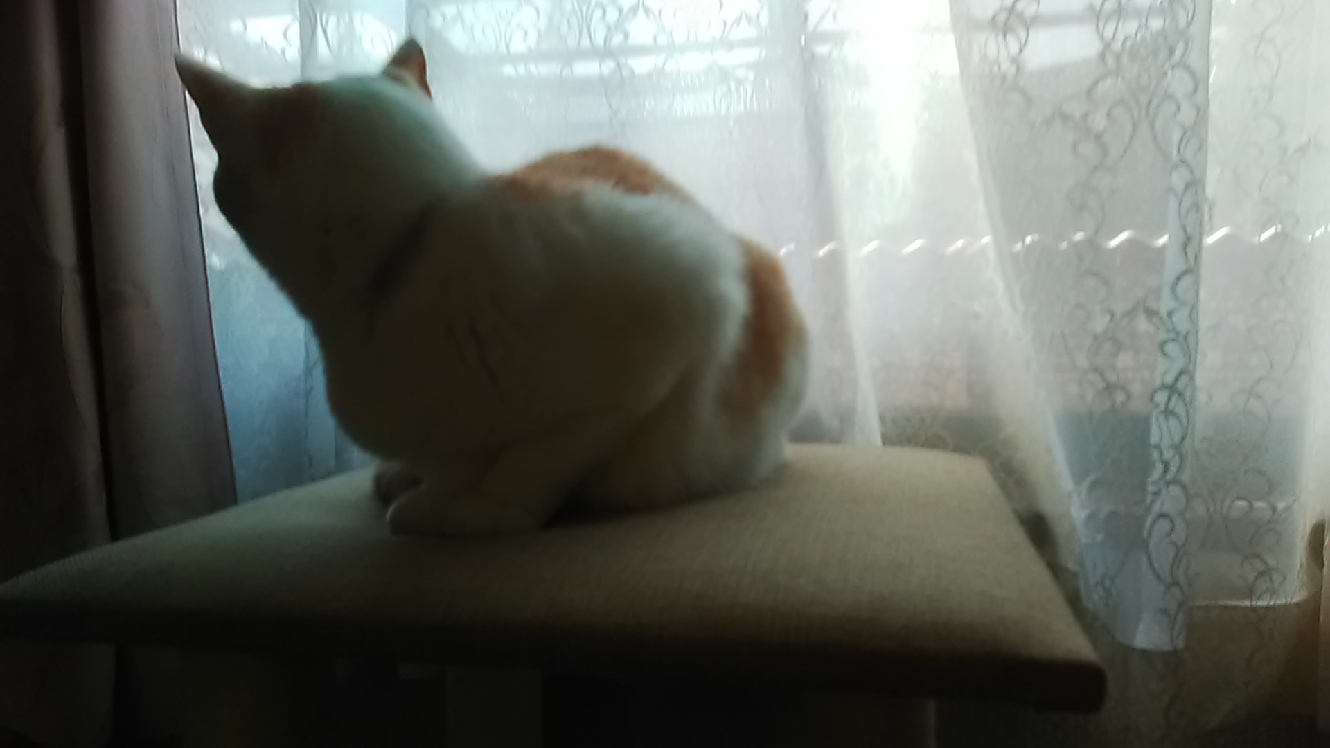 20250320080048.jpg