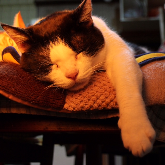 6image1.JPG