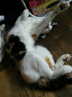 86.jpg