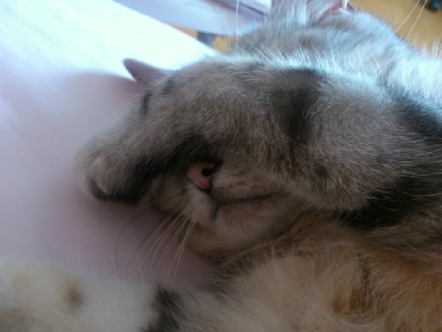 CATL6UTP.jpg