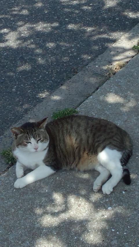 DCF00115.jpg