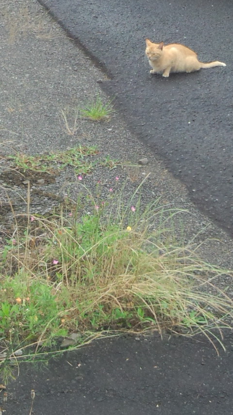 DCF00598.jpg