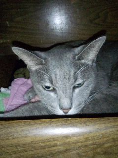DCF00980.jpg