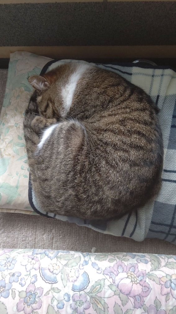 DSC_0003.JPG