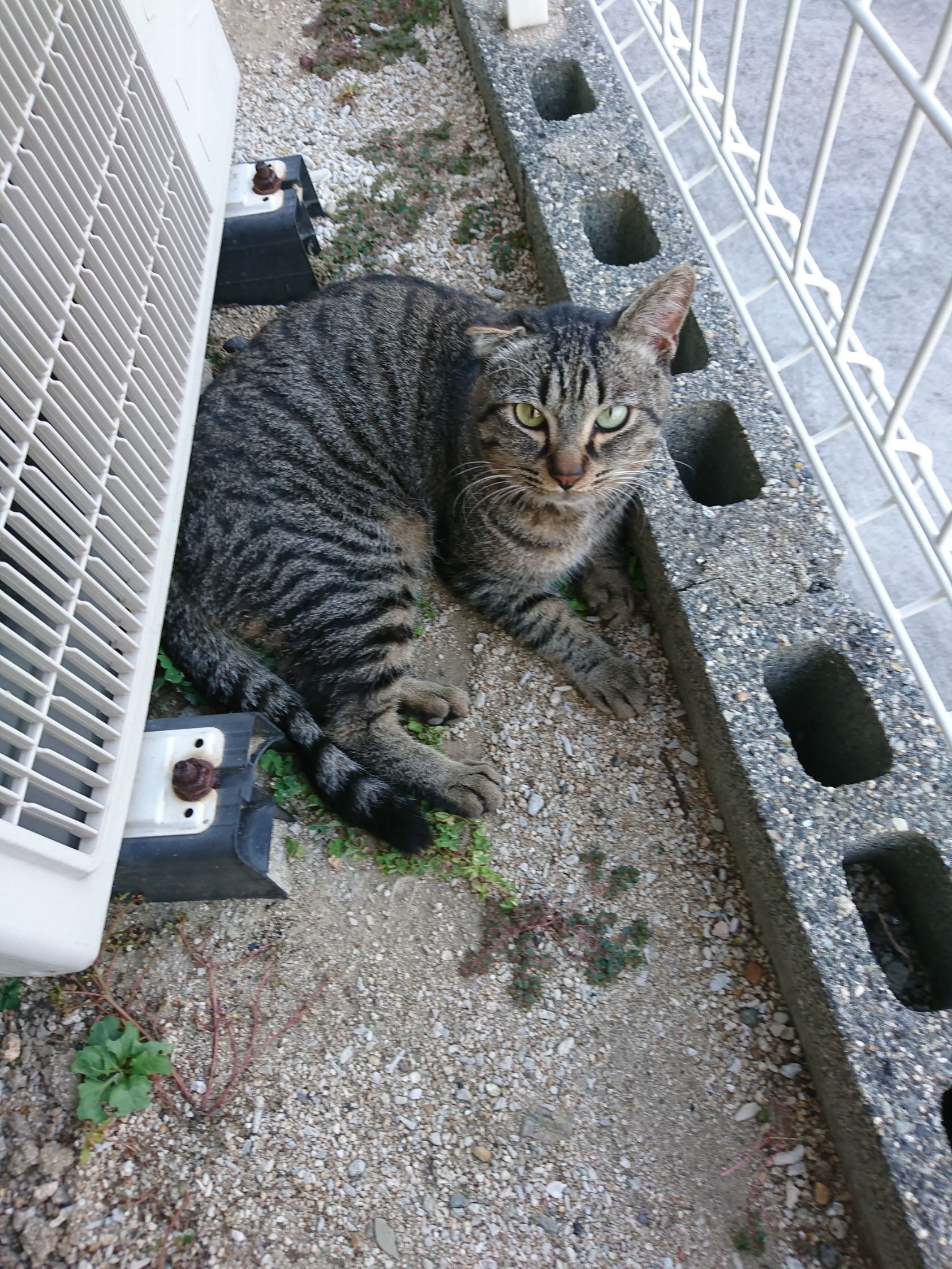 DSC_0033.JPG
