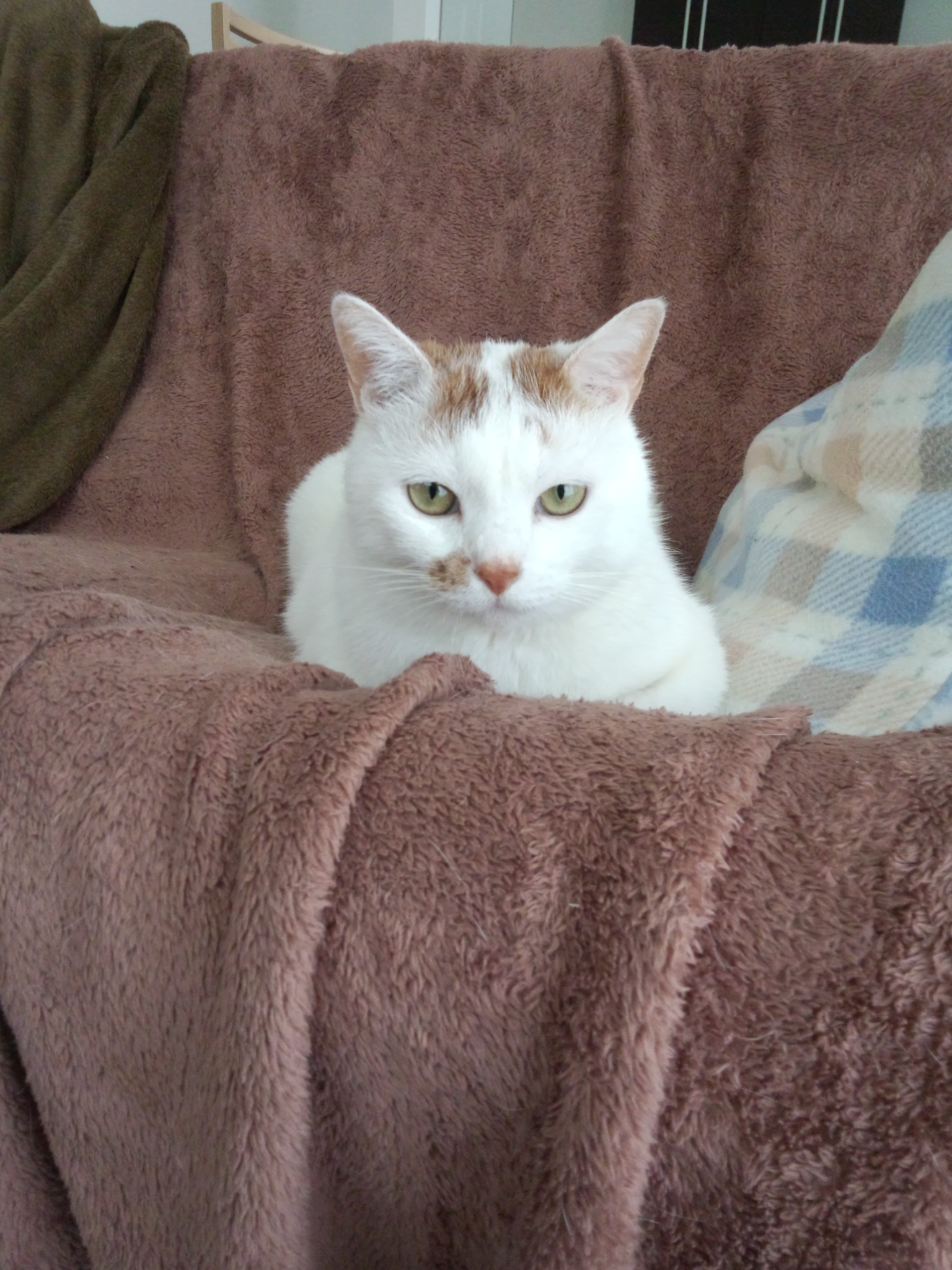 DSC_0069.jpg