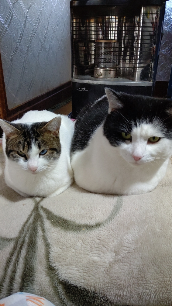 DSC_011345.JPG