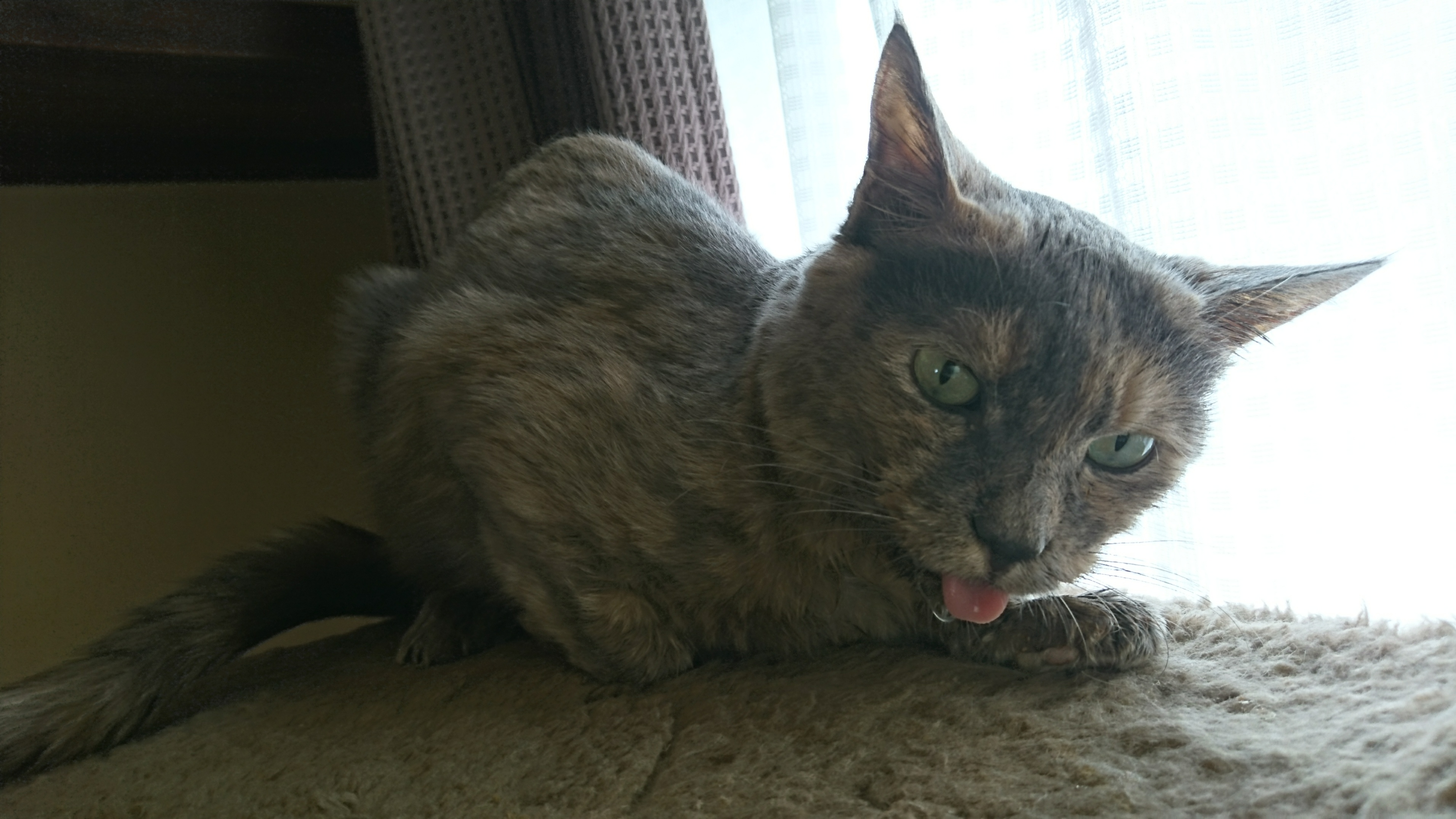 DSC_0209.JPG