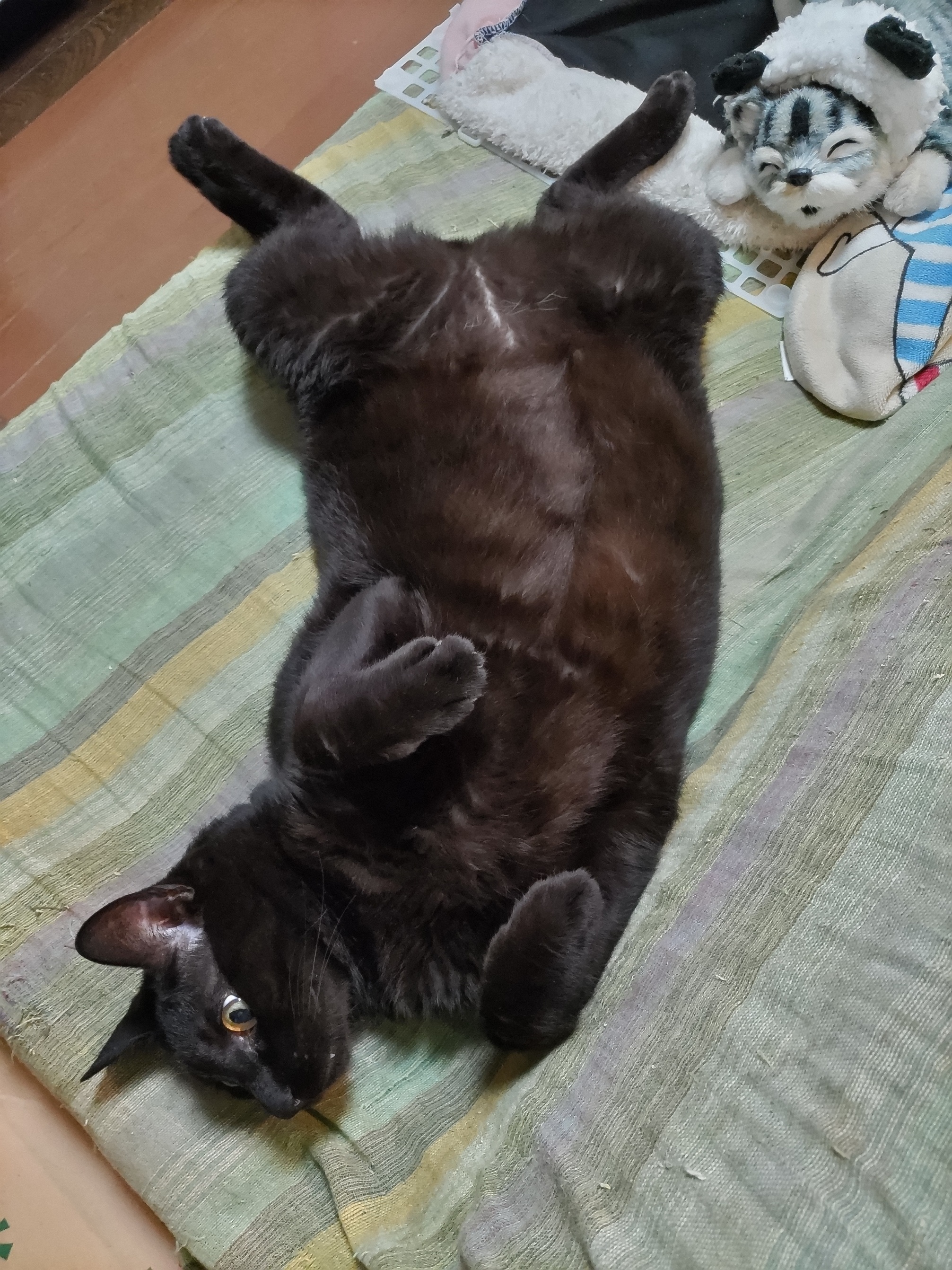 DSC_0230.JPG