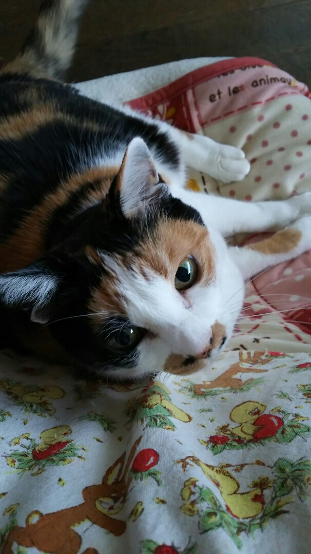 DSC_0317.JPG