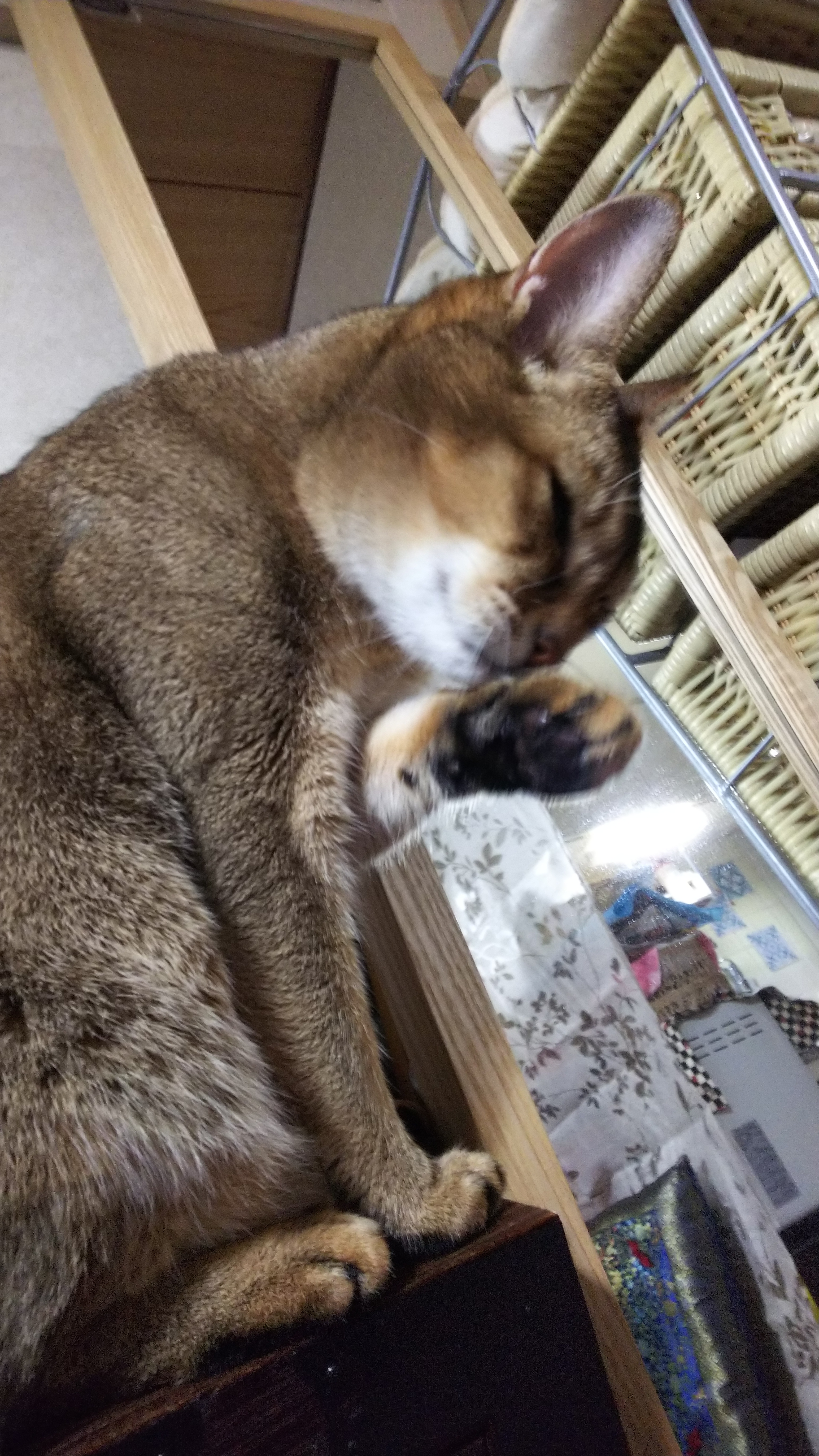 DSC_0345.JPG