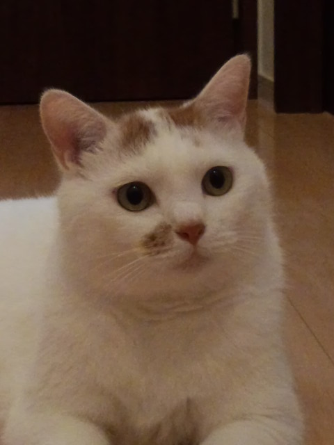 DSC_0359.jpg