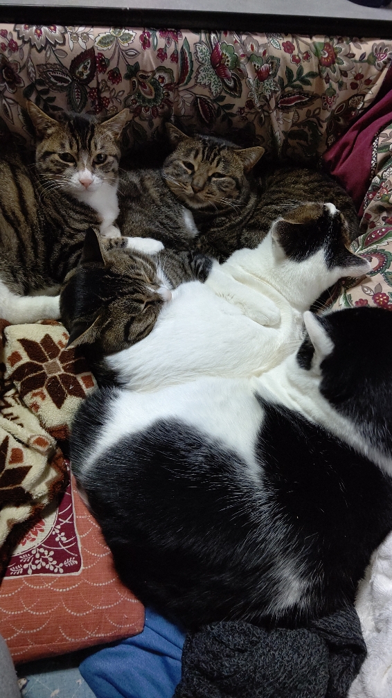 DSC_0423.JPG