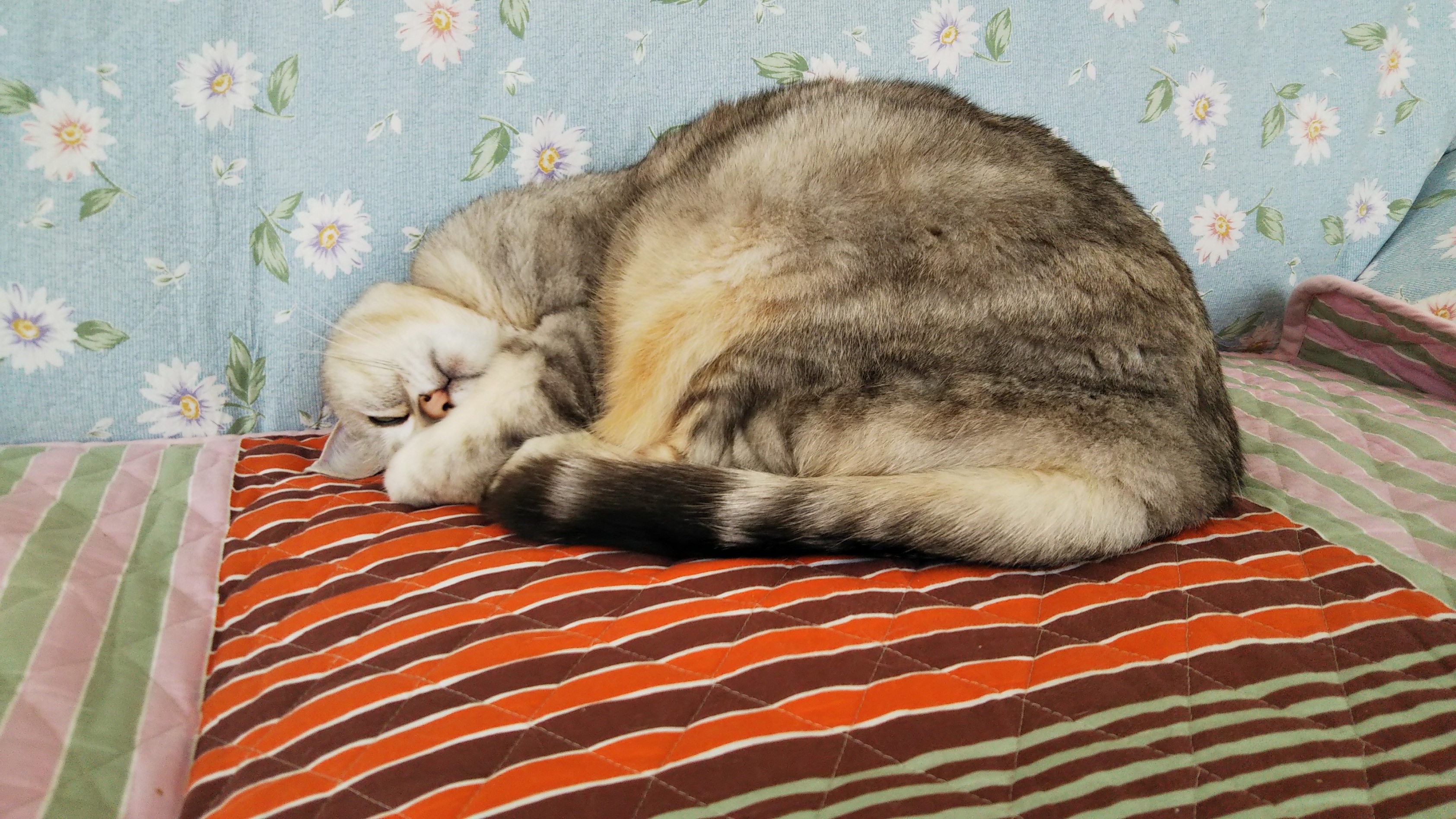 DSC_0575.JPG