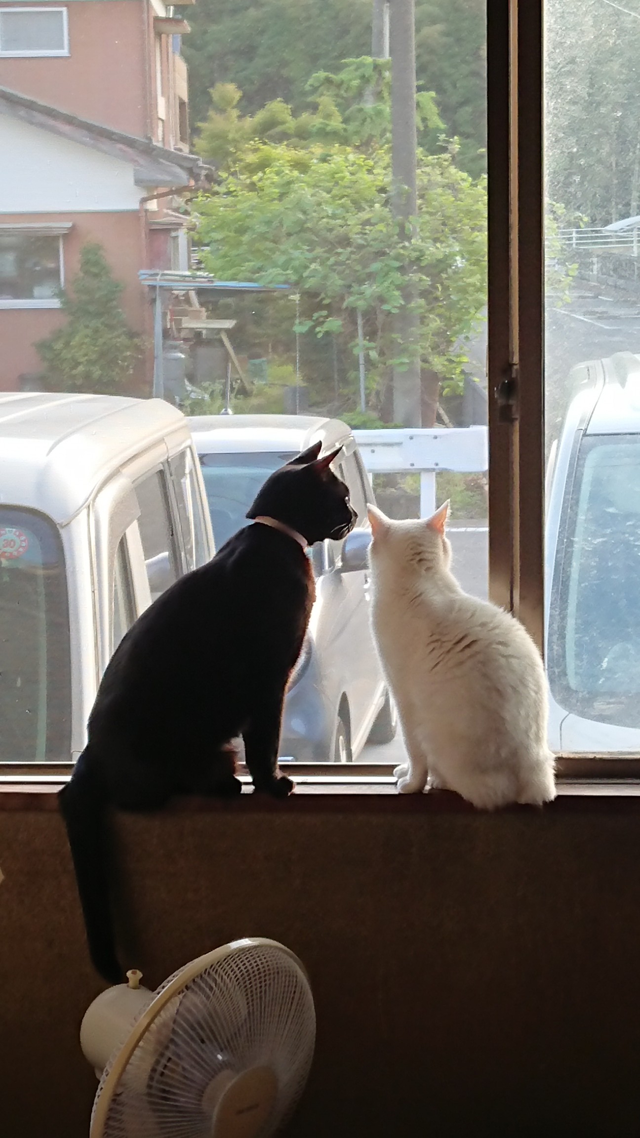 DSC_0926.JPG