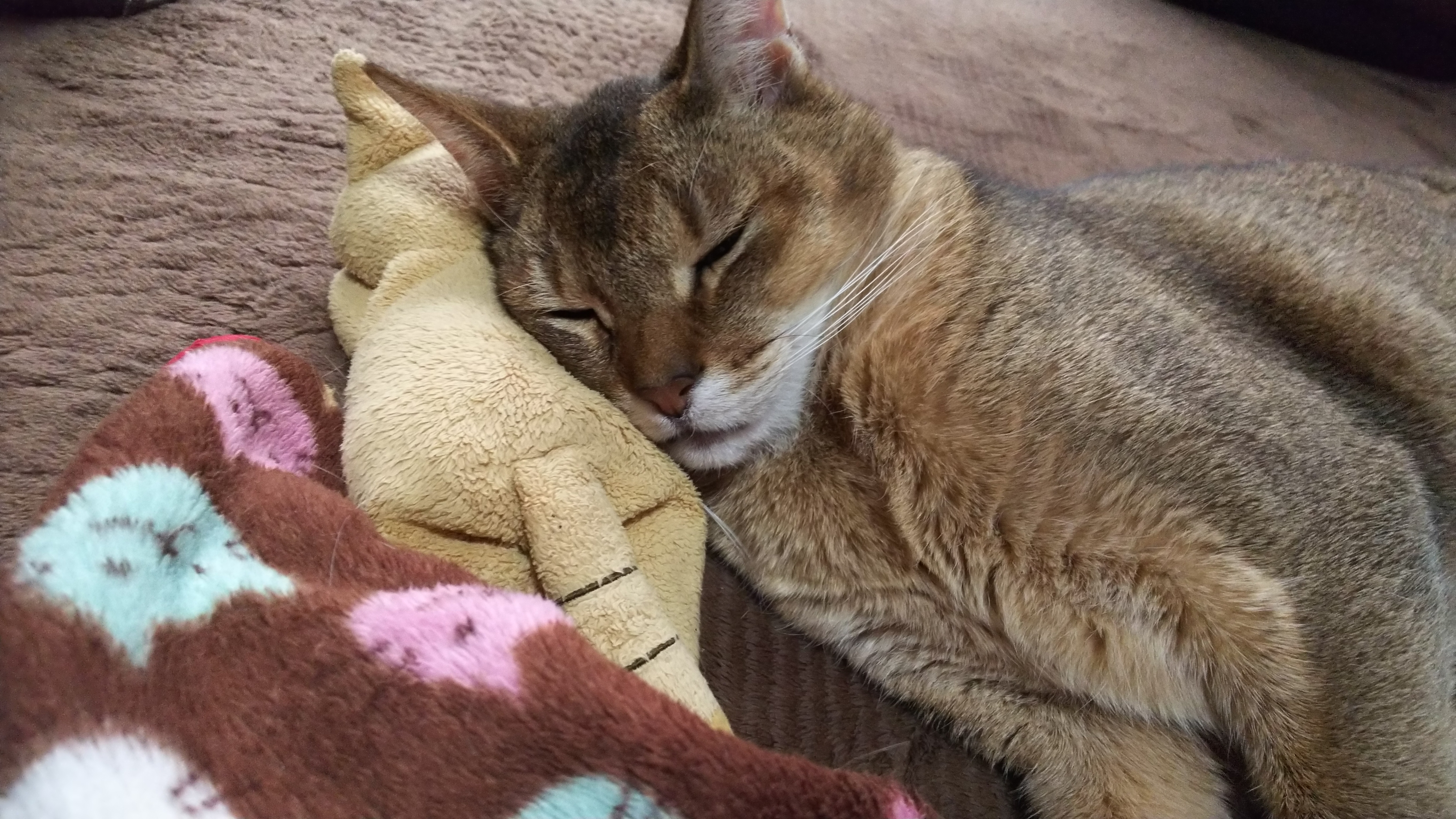 DSC_1120.JPG