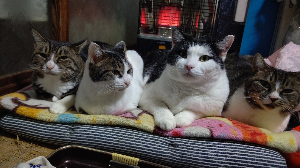 DSC_112220613.JPG