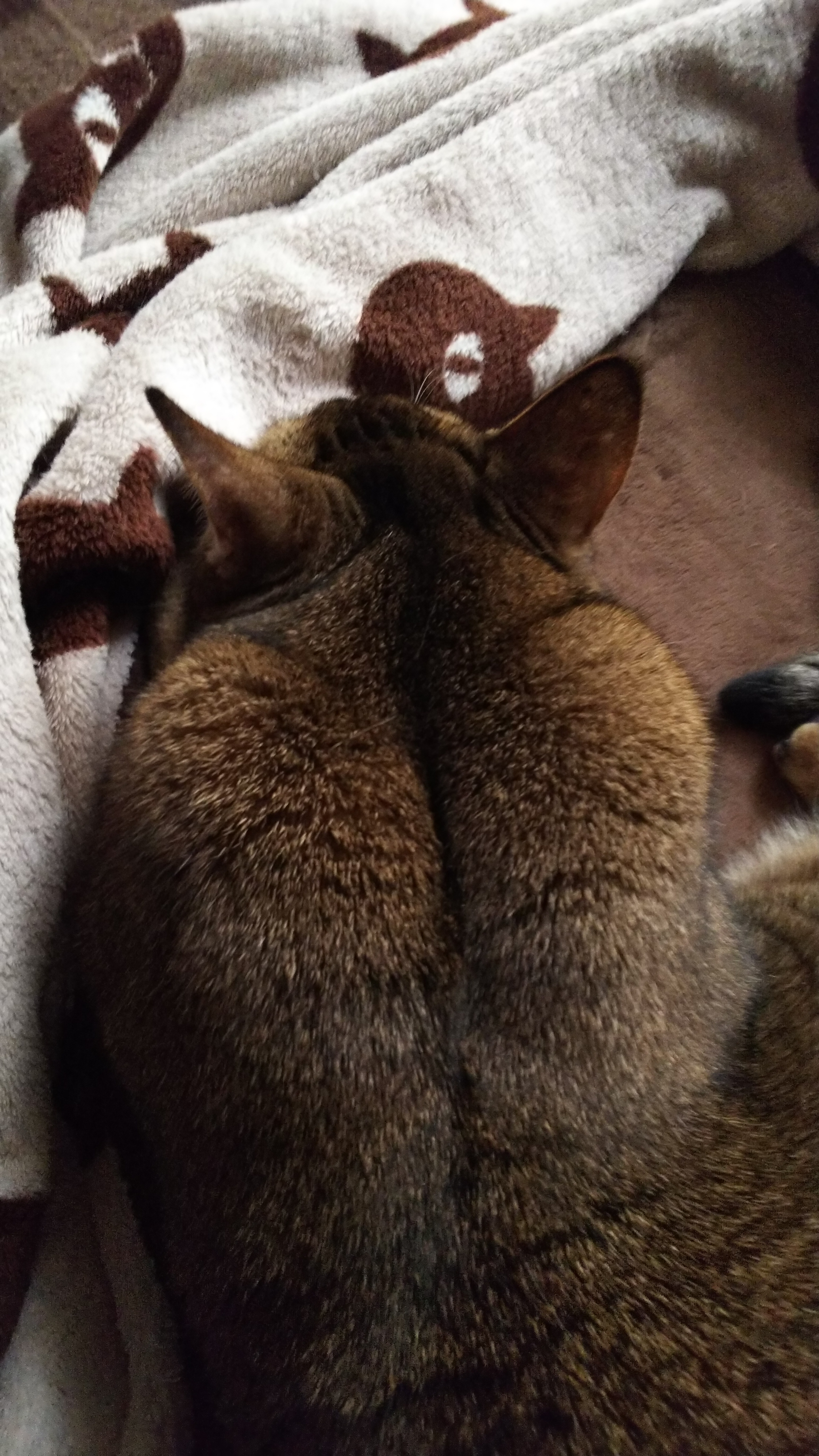 DSC_1624.JPG