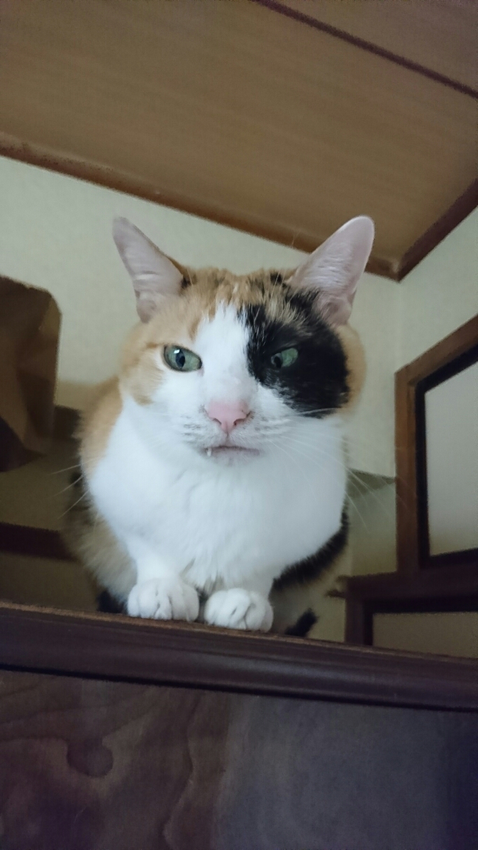 DSC_4367.JPG