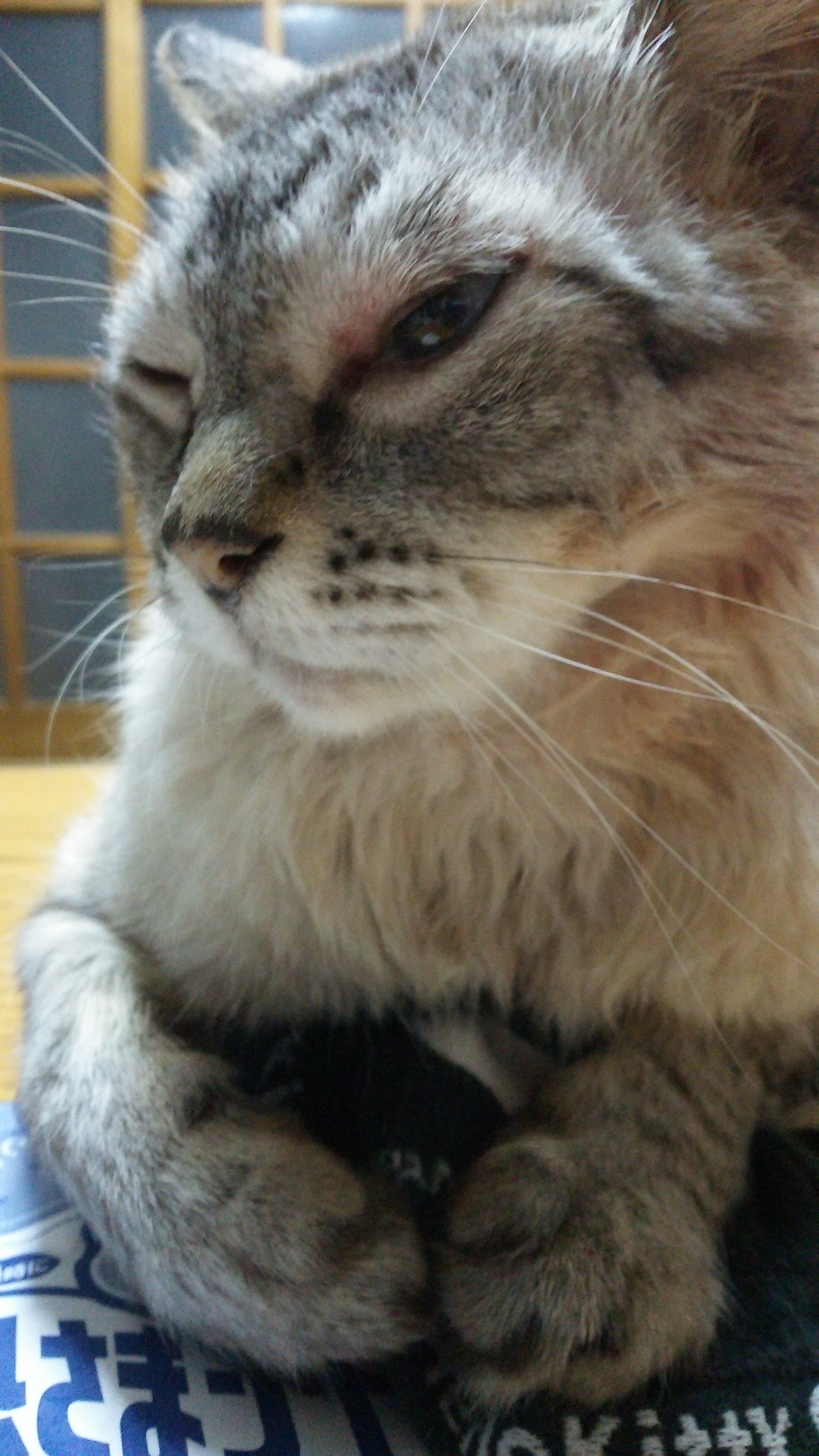 DSC_8723.JPG