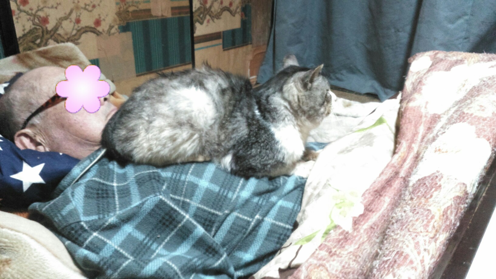 Effect_20200201_122121.jpg