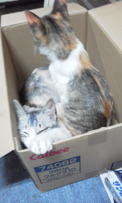PA0_0687.JPG