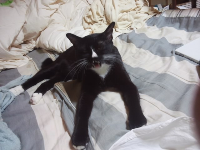 PAP_0038.JPG