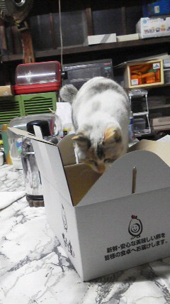 PIC0000E6.JPG