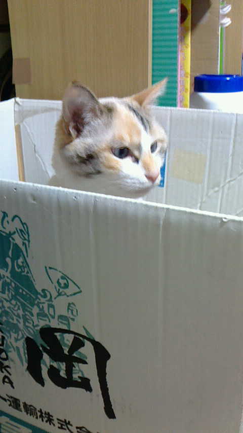 PIC000101.JPG