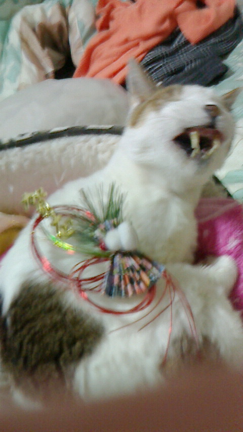 PIC000102.JPG