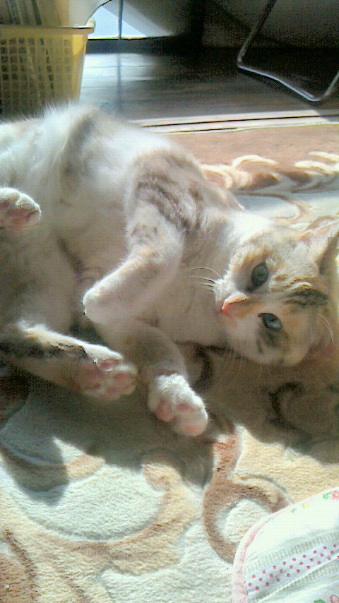 PIC000130.JPG