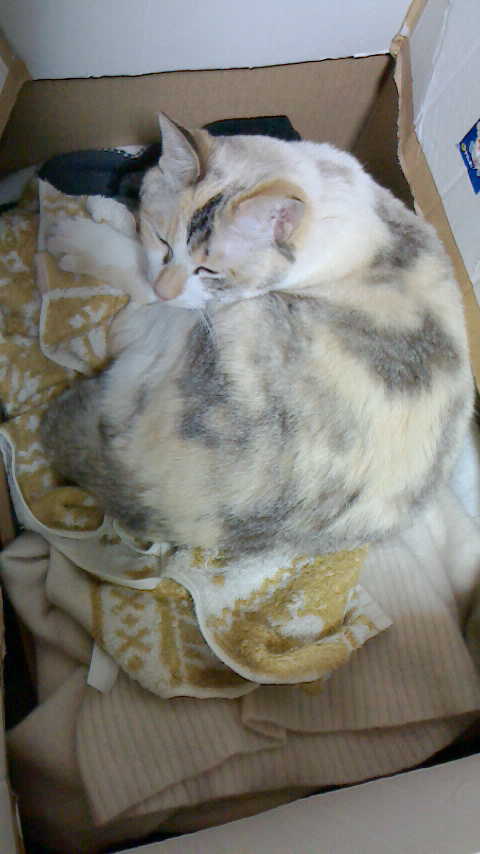 PIC000166.JPG