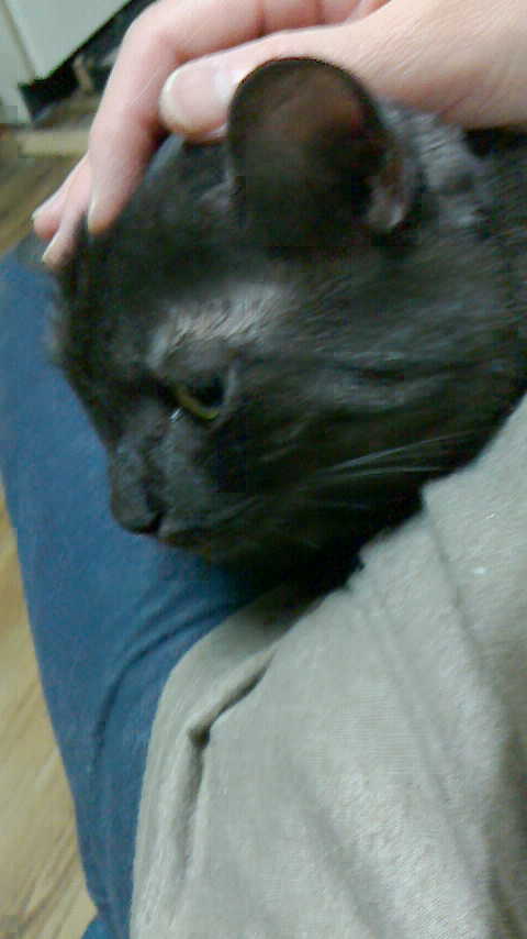 PIC00019E.JPG