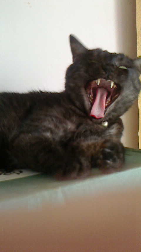 PIC0001EE.JPG