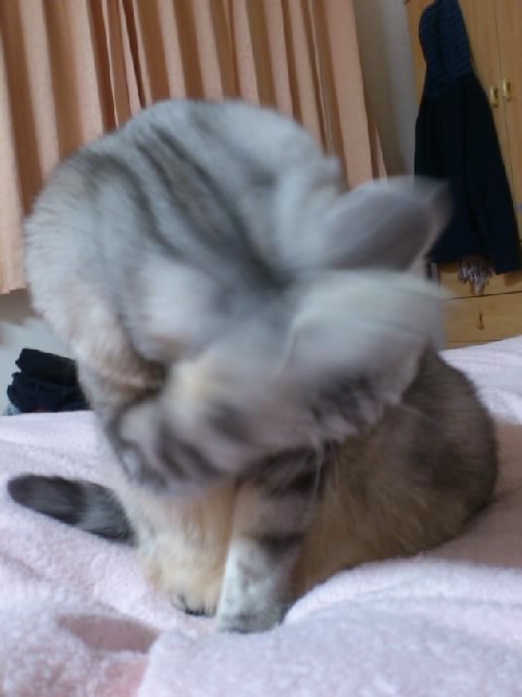 SN3V22720001.jpg