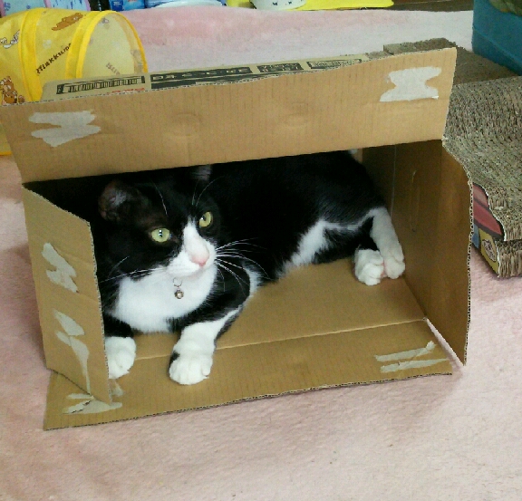 UPHOTO_20161002_143436.jpg