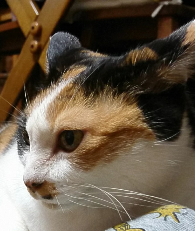 _20171001_101129.JPG