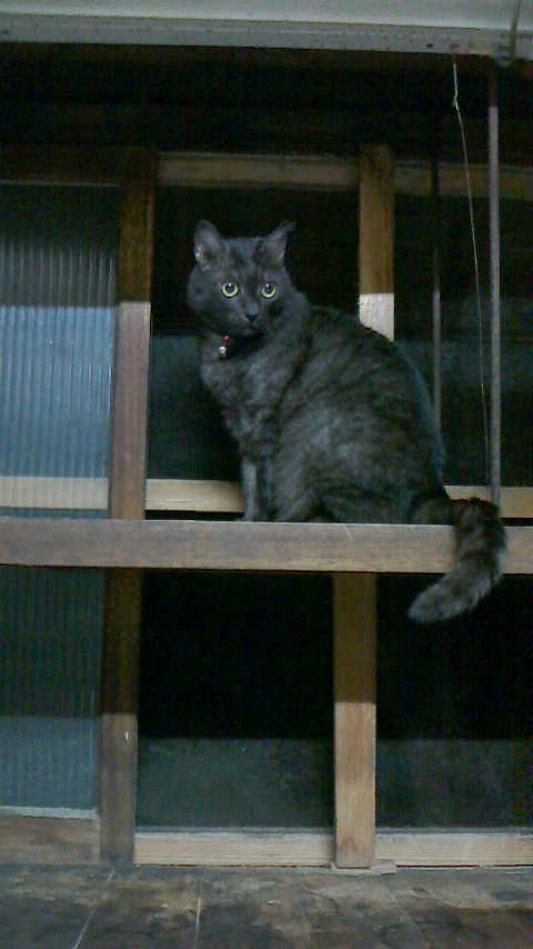 aPIC000223.JPG