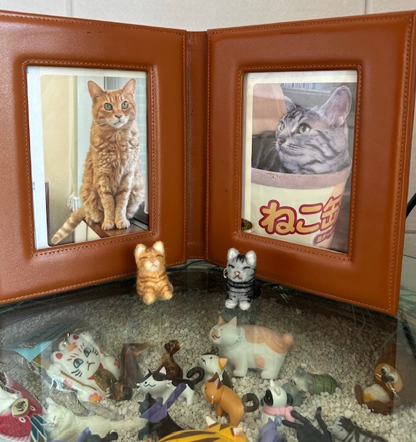 image0gs.jpg