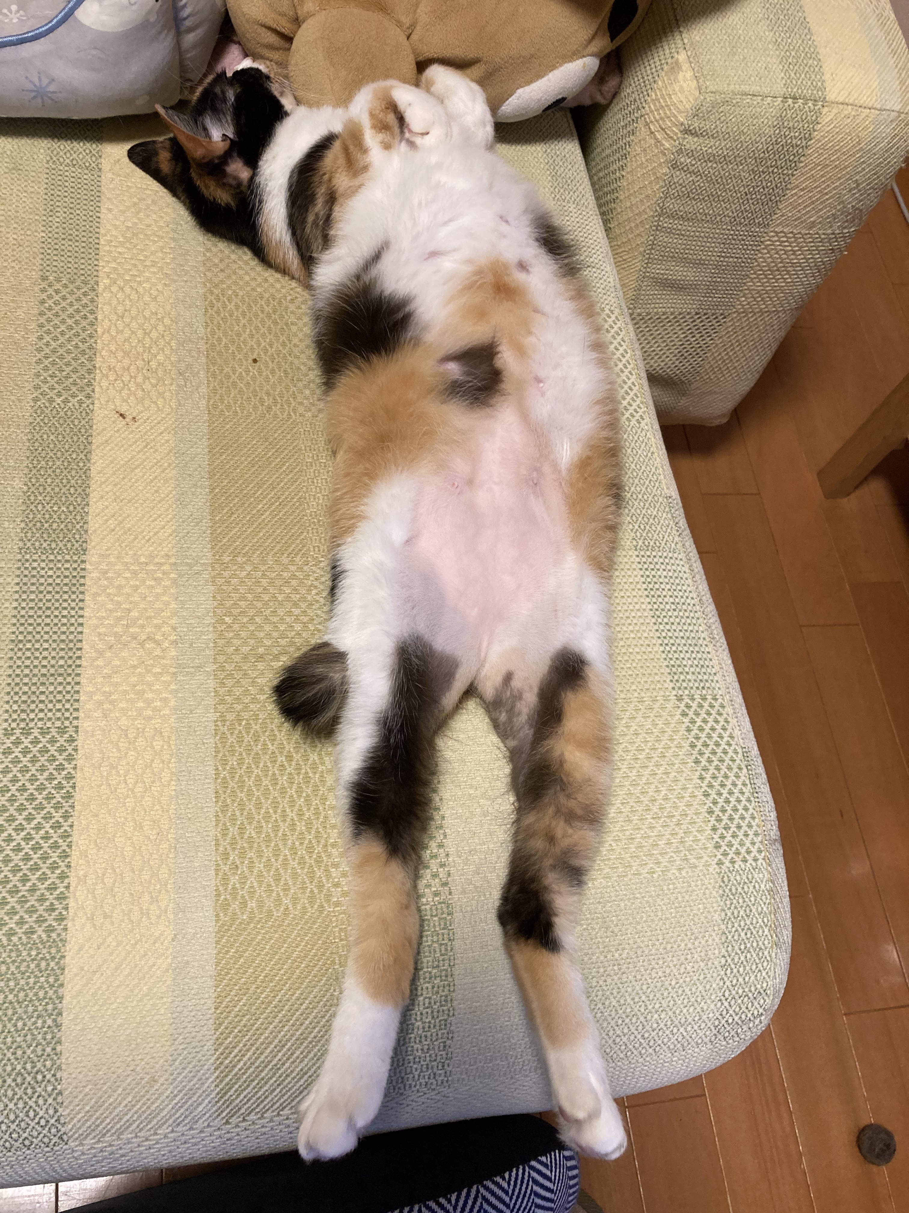 image0mia.jpg
