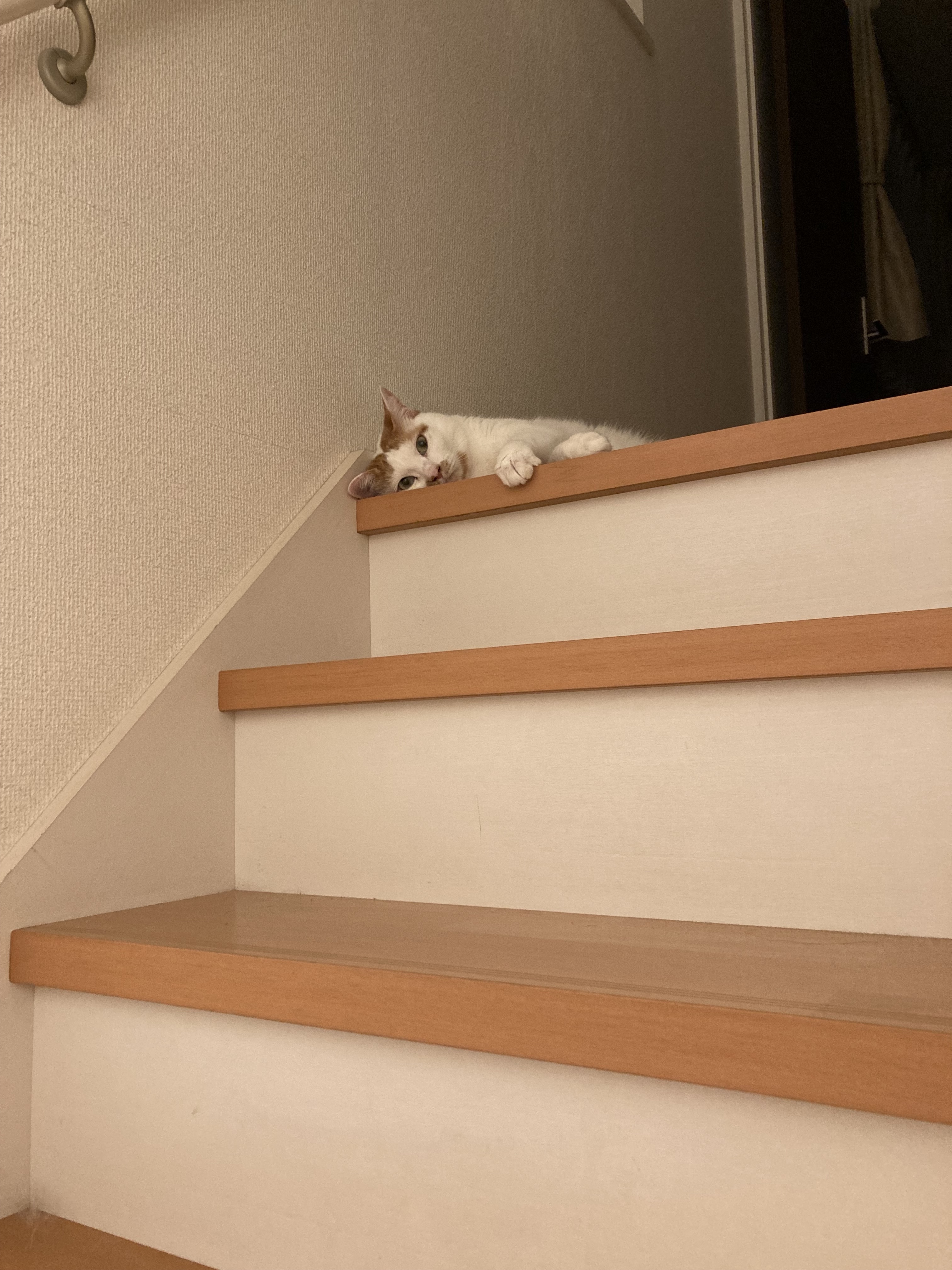 image0minikeru1.jpg