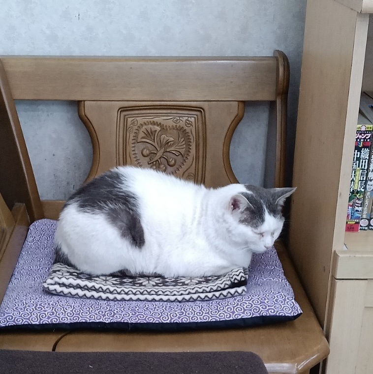 image0toko.jpg