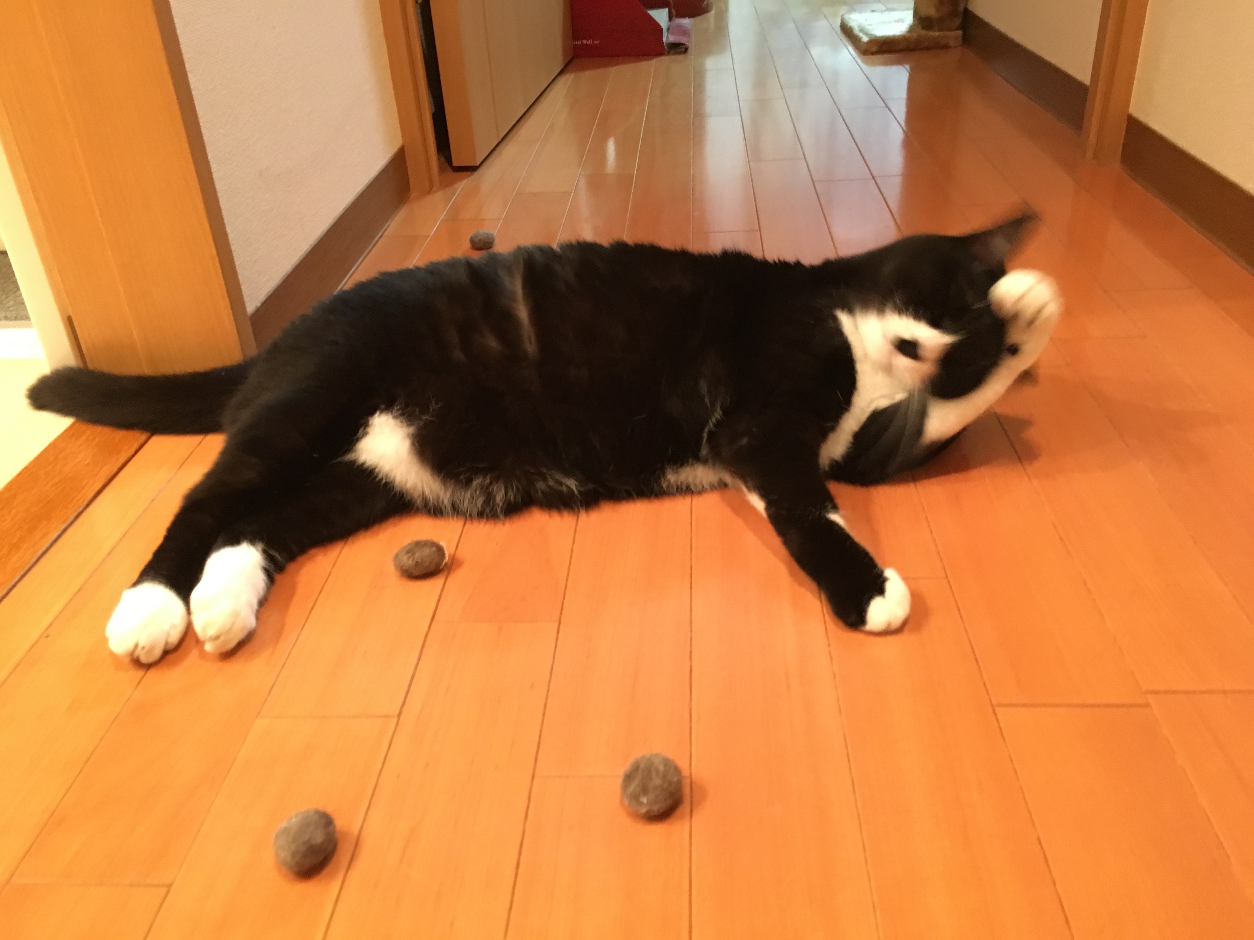 image158747jhgt.jpg