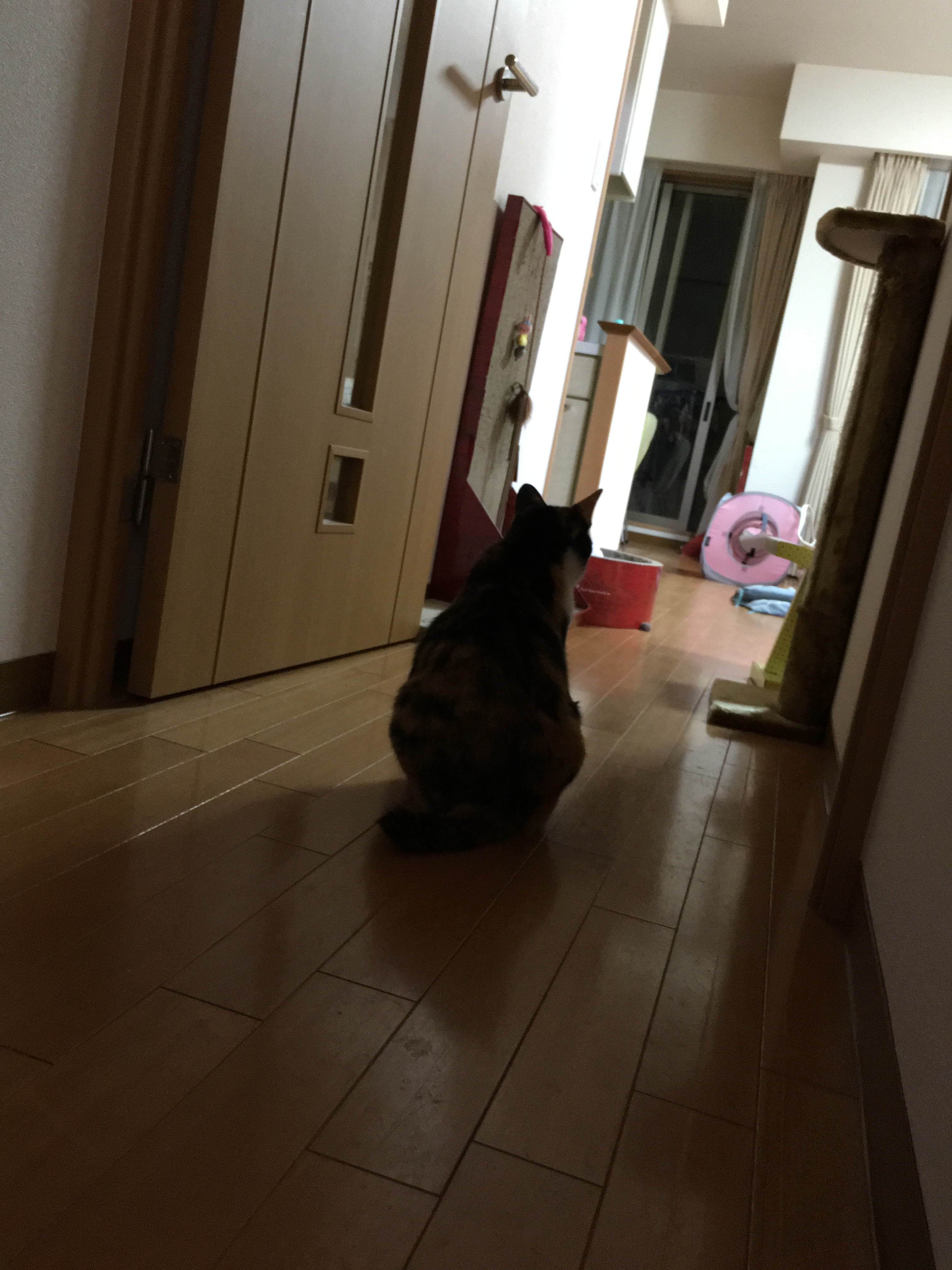 image1gbg.JPG