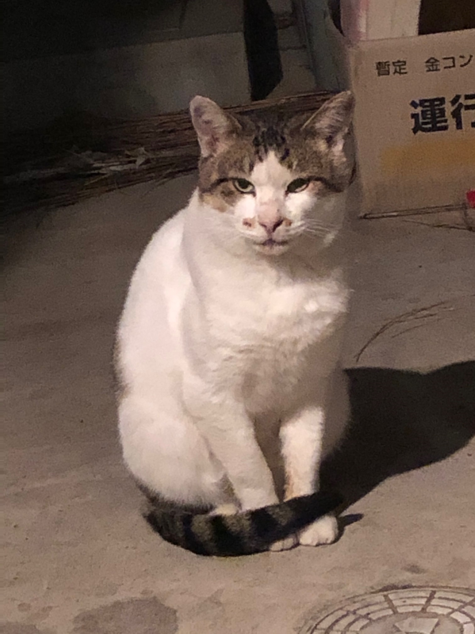 imagebuchibuchi.jpg