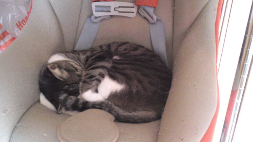 mini_120525_15510001.jpg