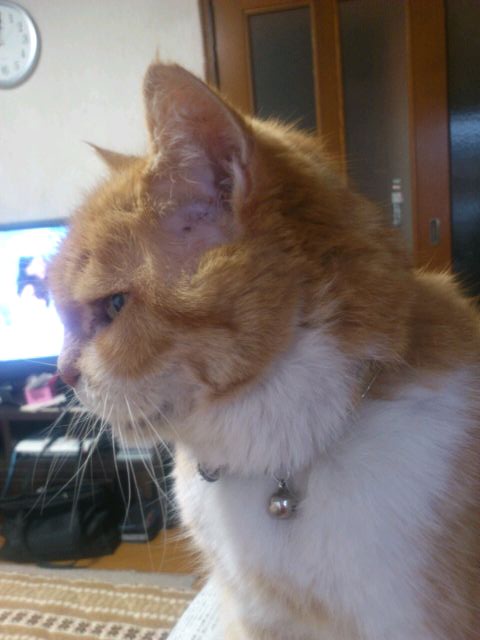 mini_150130_07560001.jpg