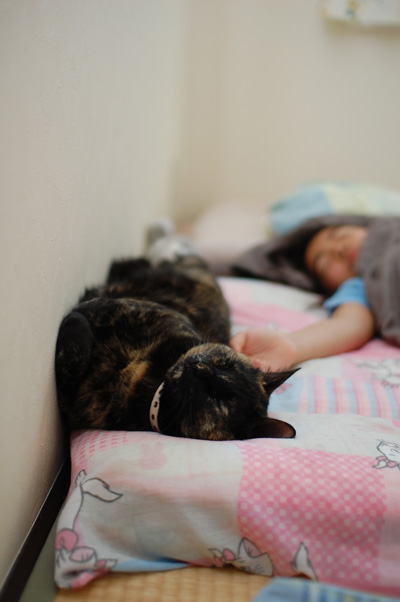 s_dsc_8145.jpg