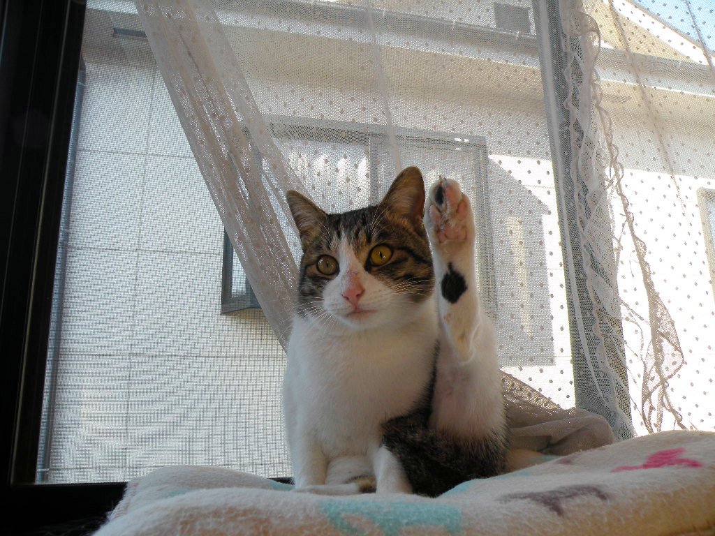 11.jpg