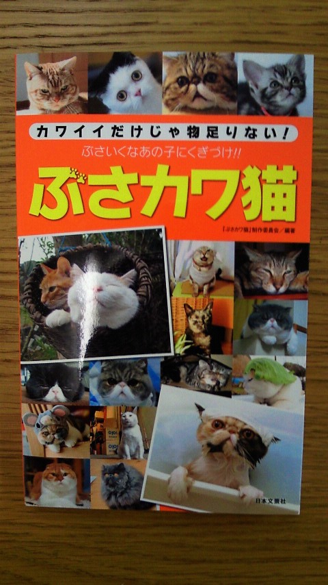 201004141556000.jpg